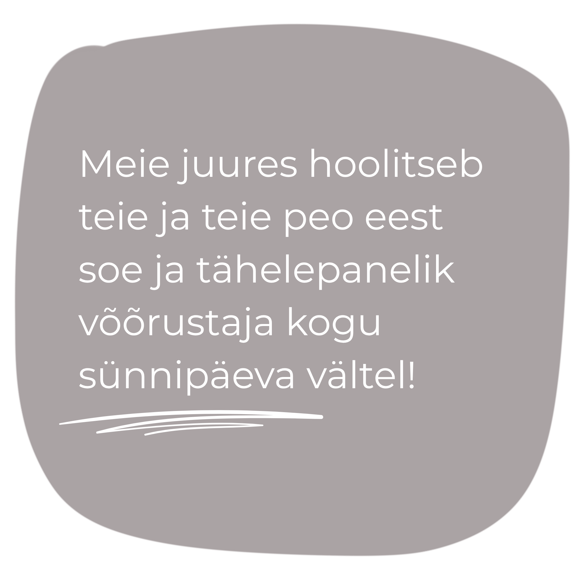 Meie juures hoolitseb teie ja teie peo eest soe ja tähelepanelik võõrustaja kogu sünnipäeva vältel